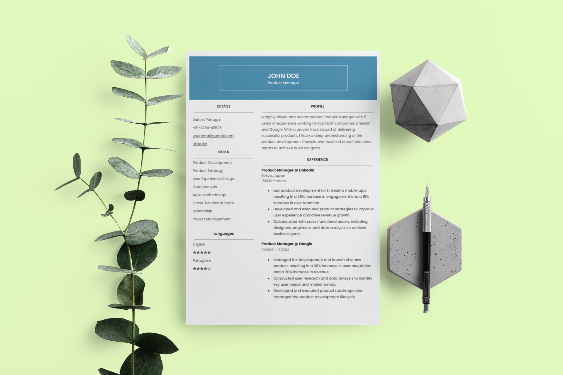 Resume Template 2