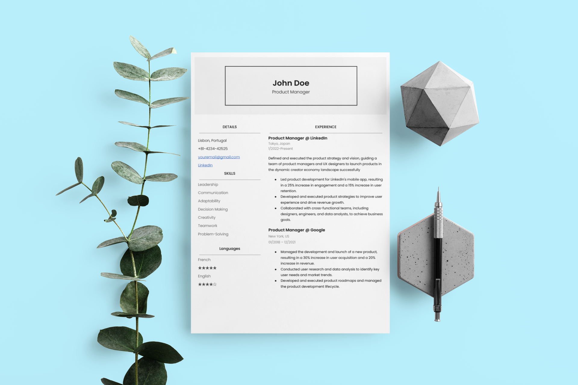 Resume Template 3